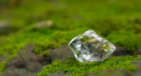 A clear, multifaceted crystal rests on a lush bed of green moss and rocks, capturing light and reflecting its natural surroundings. The scene highlights a serene and natural setting, symbolizing purity and connection to nature.